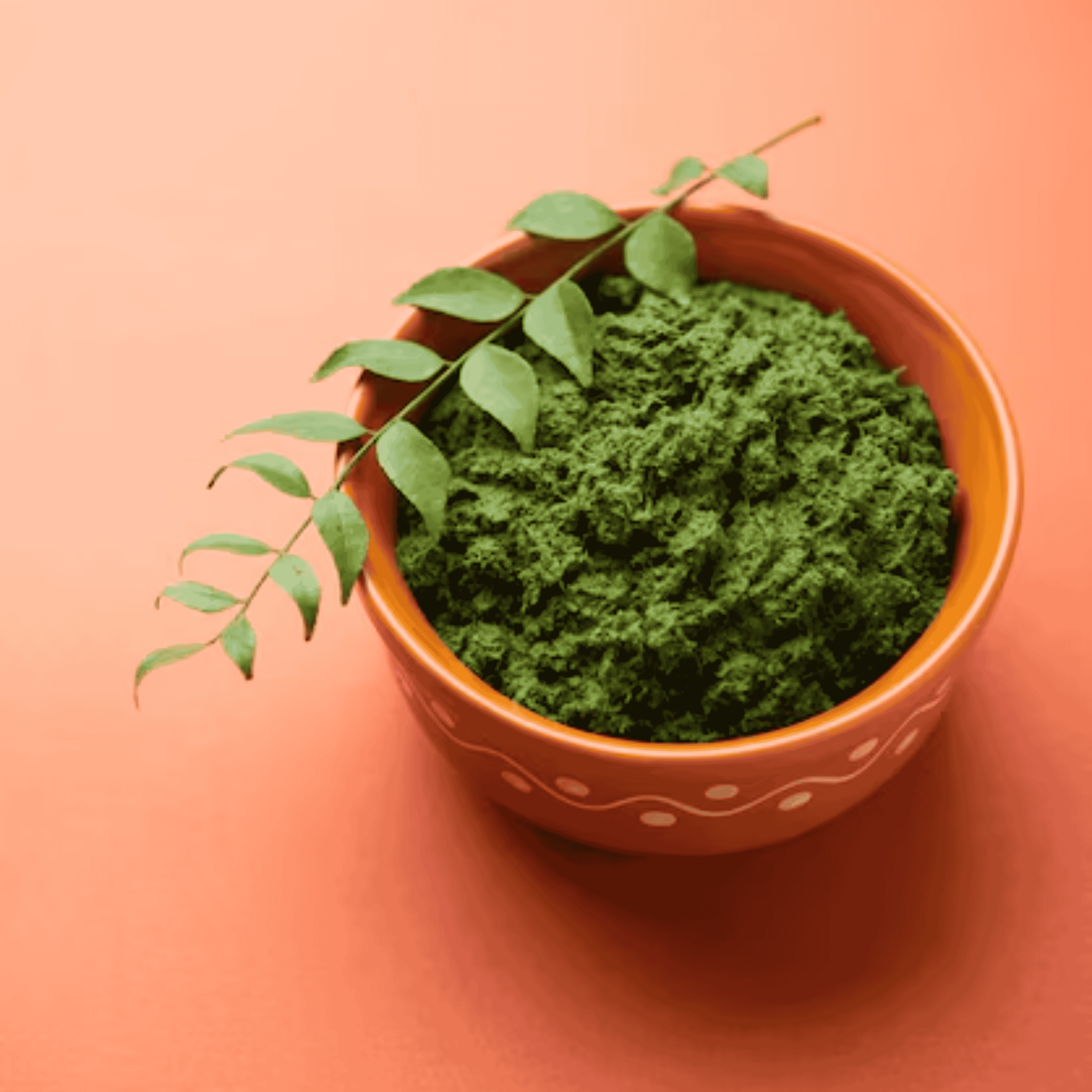Henna Powder(100g)