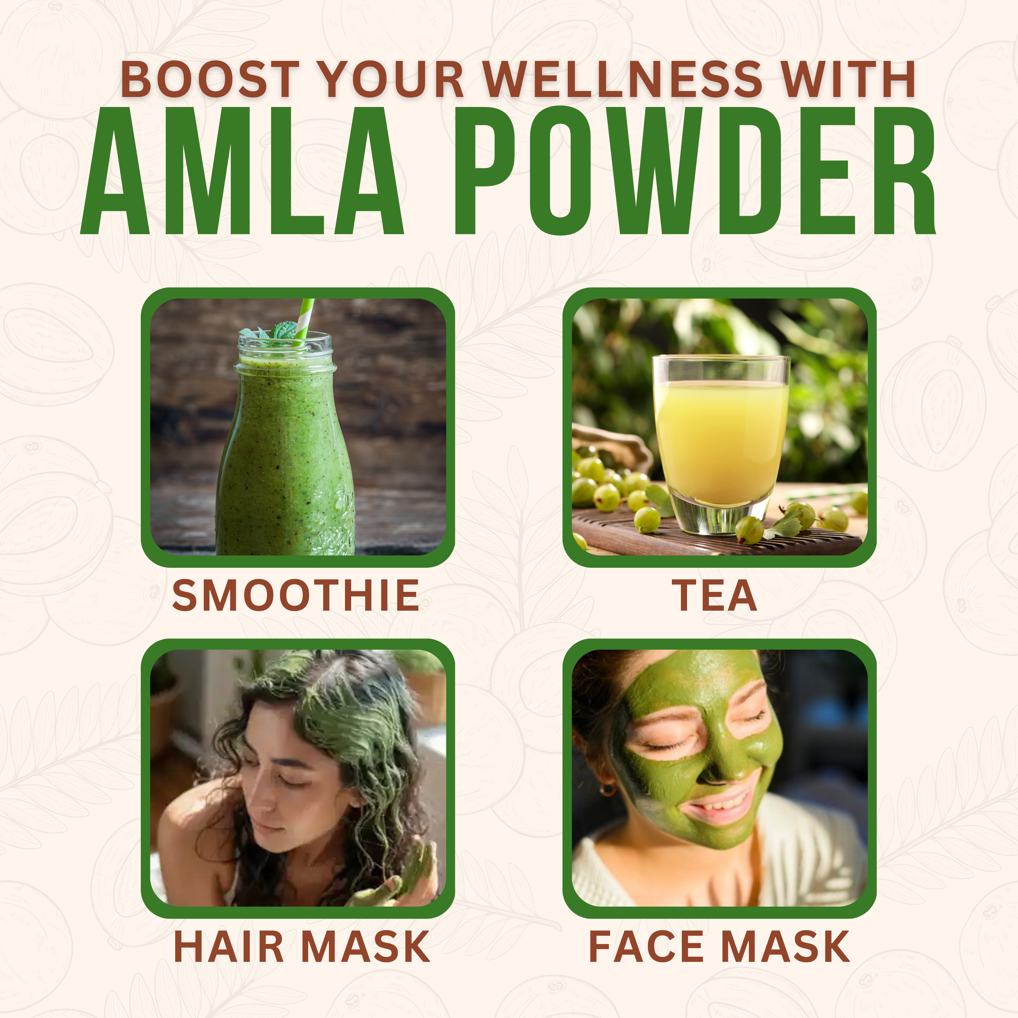Amla Powder(100g)