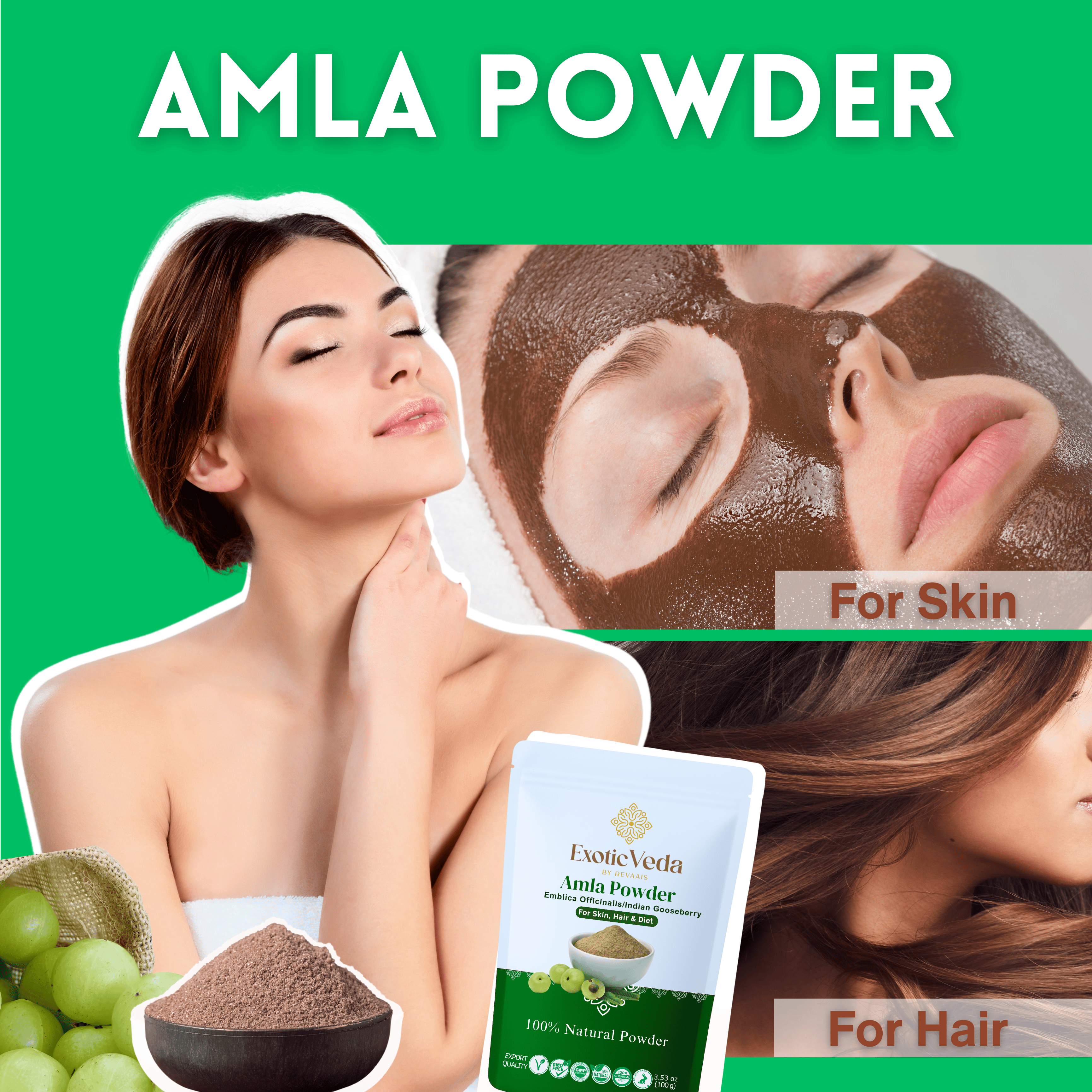Amla Powder(100g)