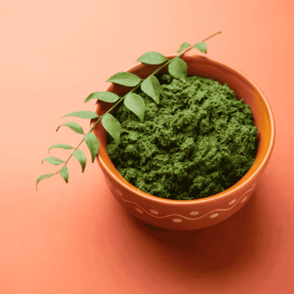 Henna Powder(100g)