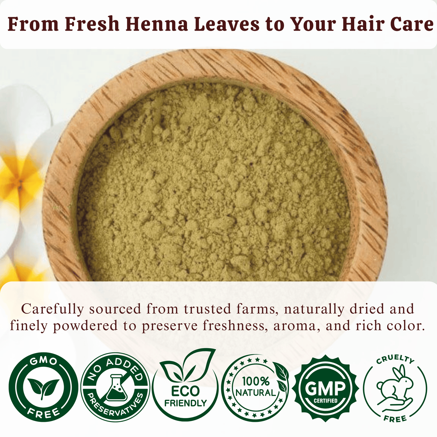 Henna Powder(100g)